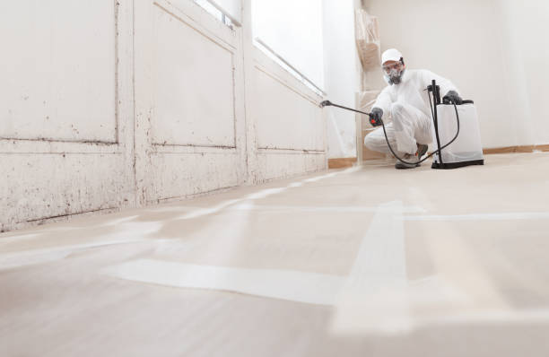 24/7 Emergency Attic Mold Removal experts in Gainesville, TX